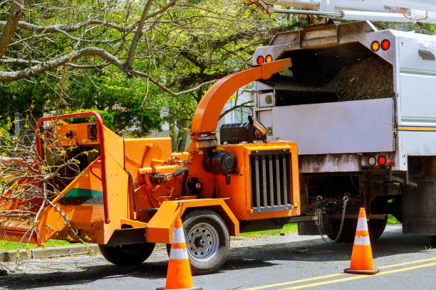 Mulching Services in Haines City, FL